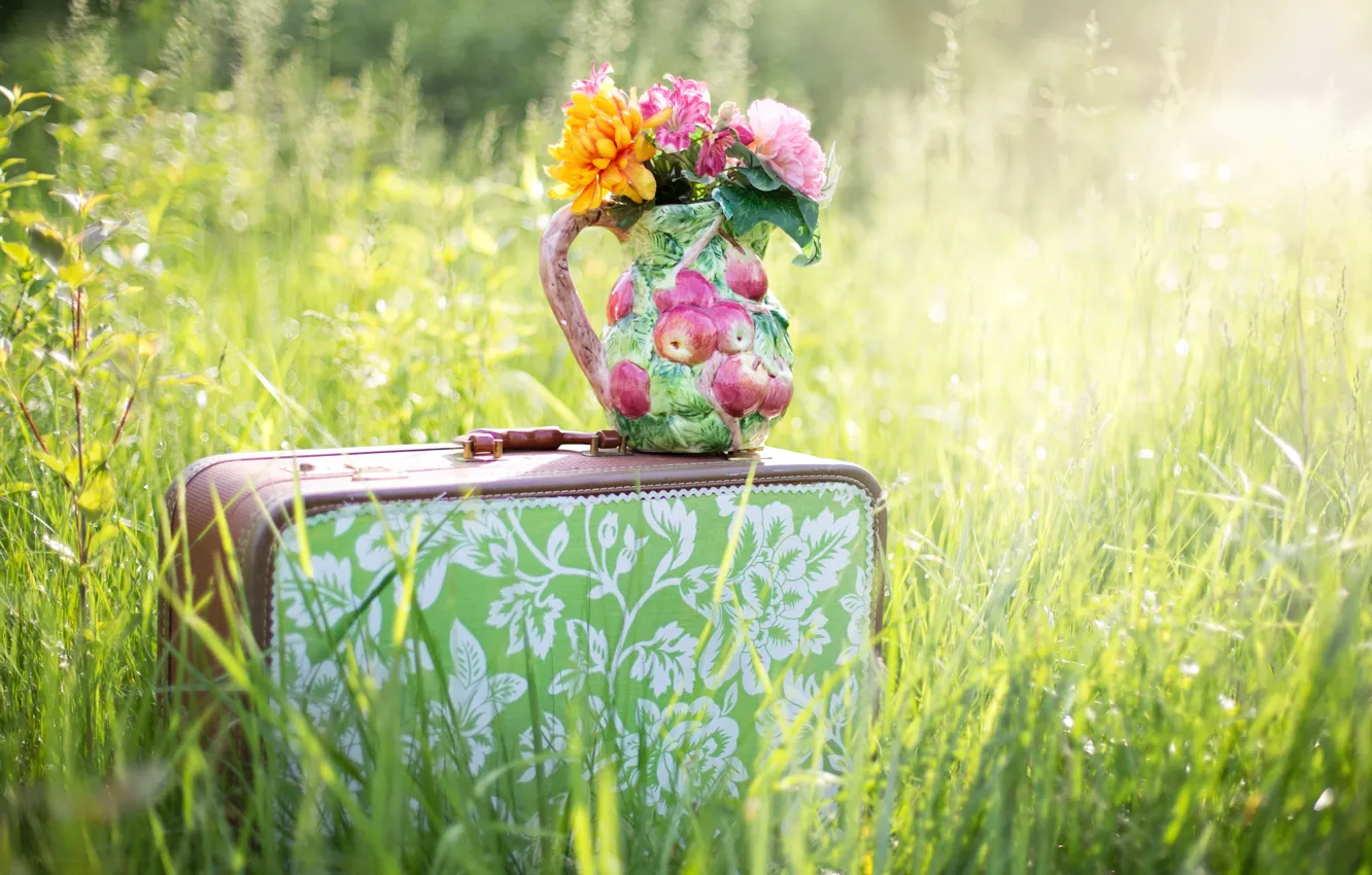 Фото обои лето, трава, цветы, природа, чемодан, кувшин