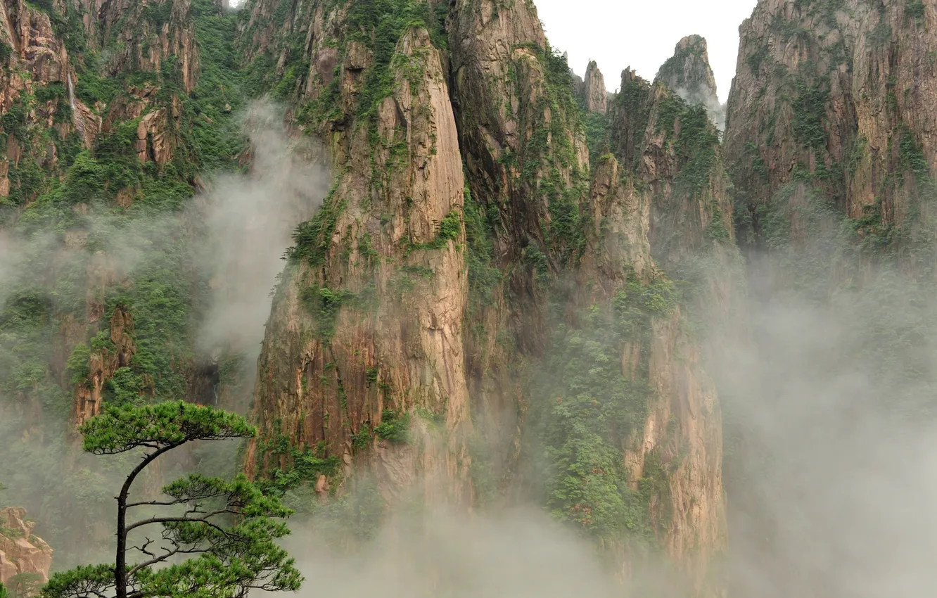 Фото обои горы, туман, дерево, растительность, Китай