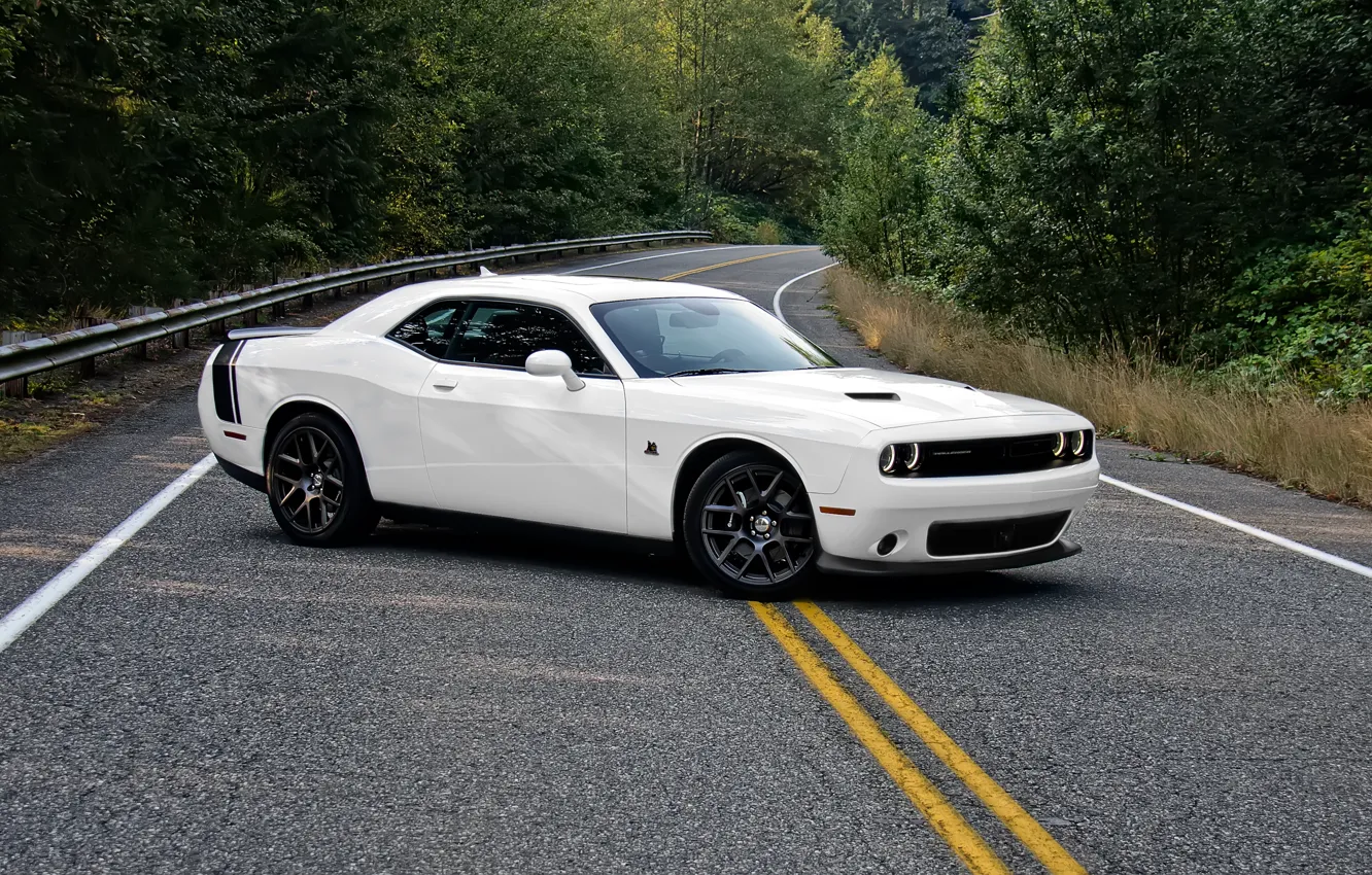 Фото обои Dodge, Challenger, white, road