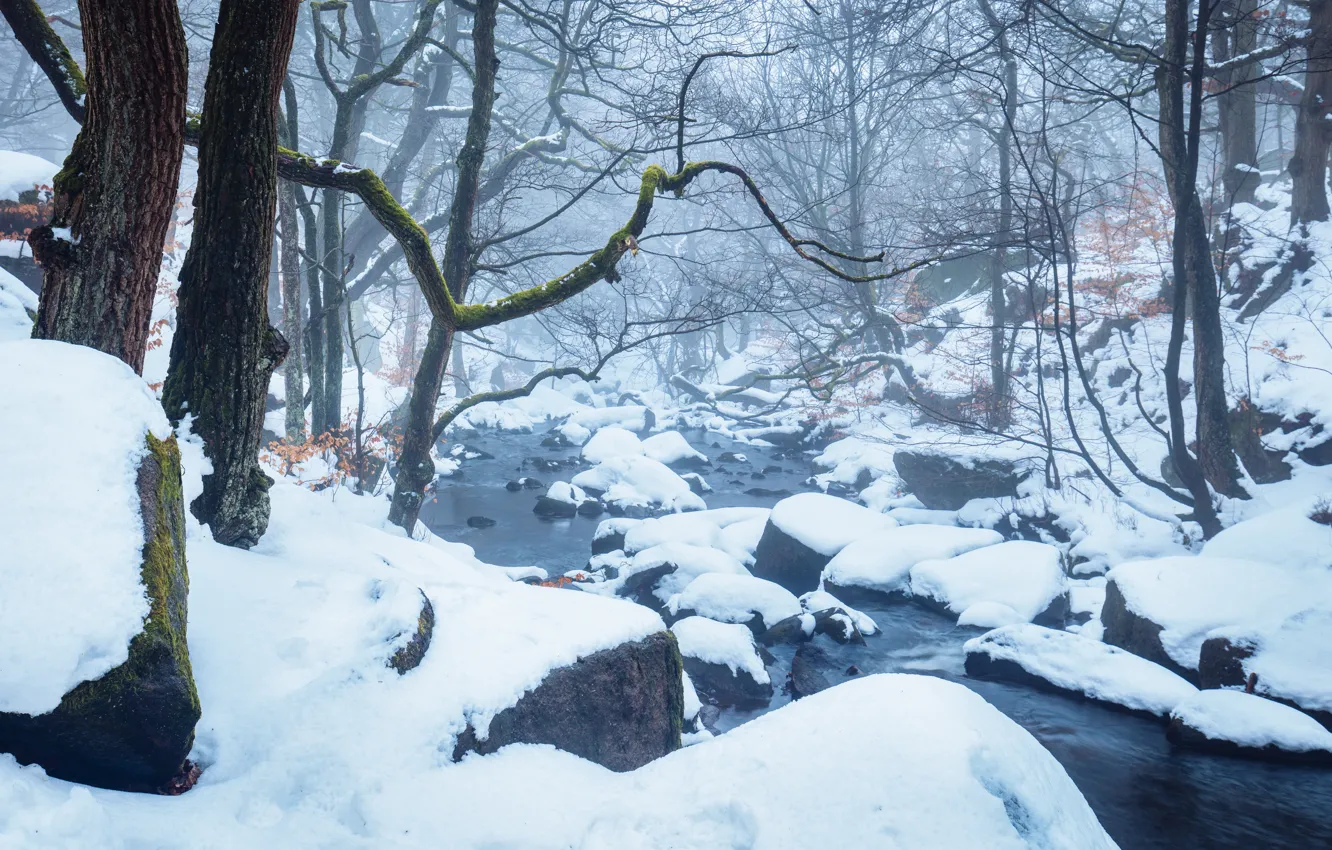 Фото обои зима, снег, ручей, Англия, дымка, Peak District