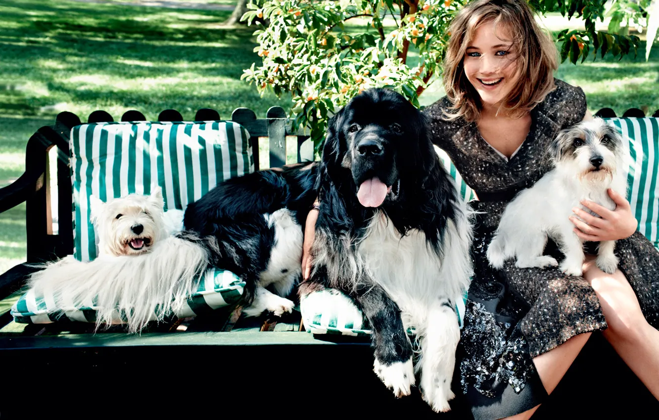 Фото обои смех, собачки, Jennifer Lawrence, Vogue