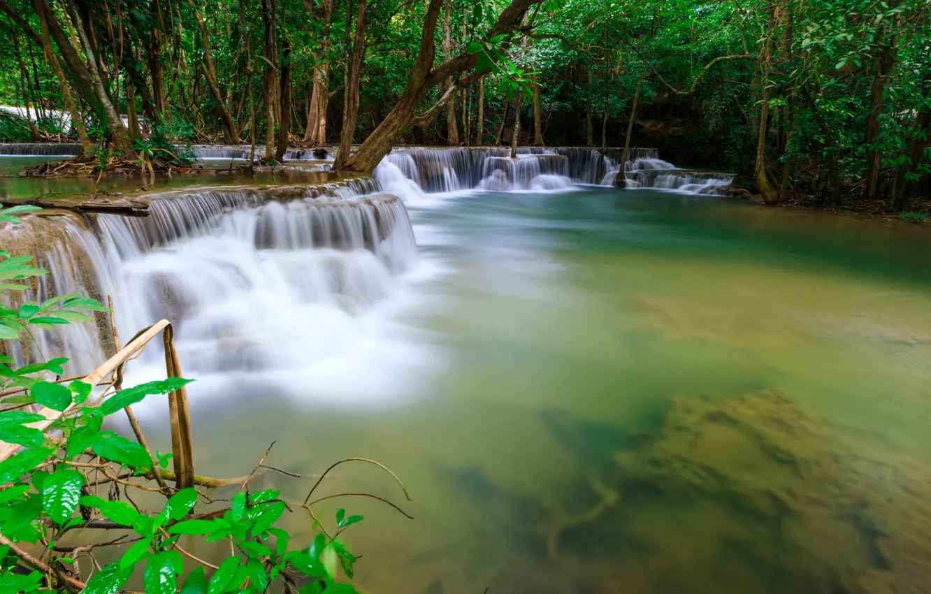 Фото обои лес, пейзаж, река, скалы, водопад, summer, forest, тропический