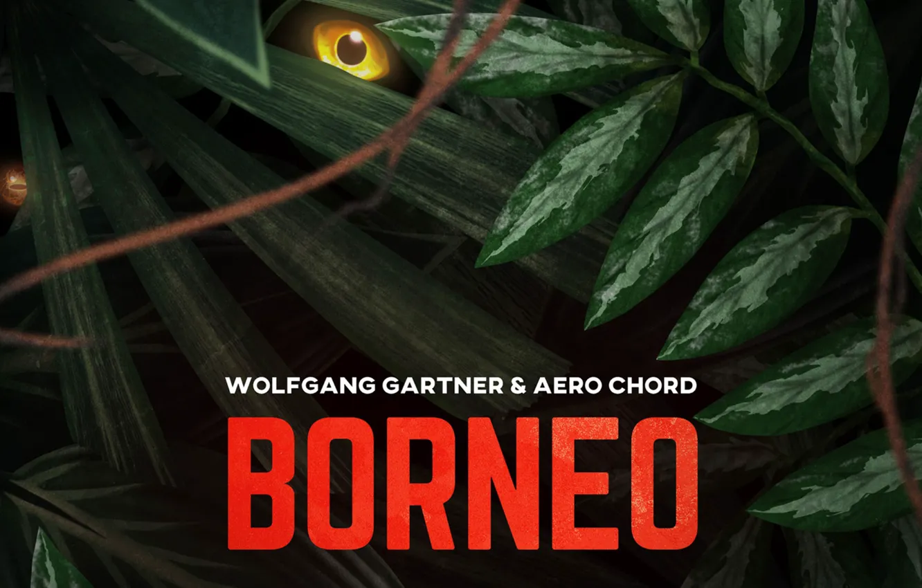 Фото обои Music, Borneo, Cover, Monstercat, Wolfgang Gartner & Aero Chord