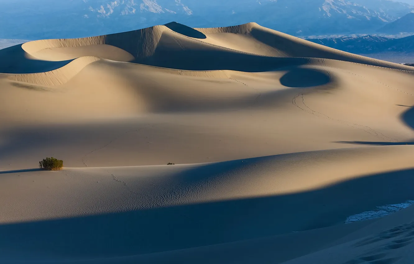 Фото обои песок, следы, пустыня, дюны