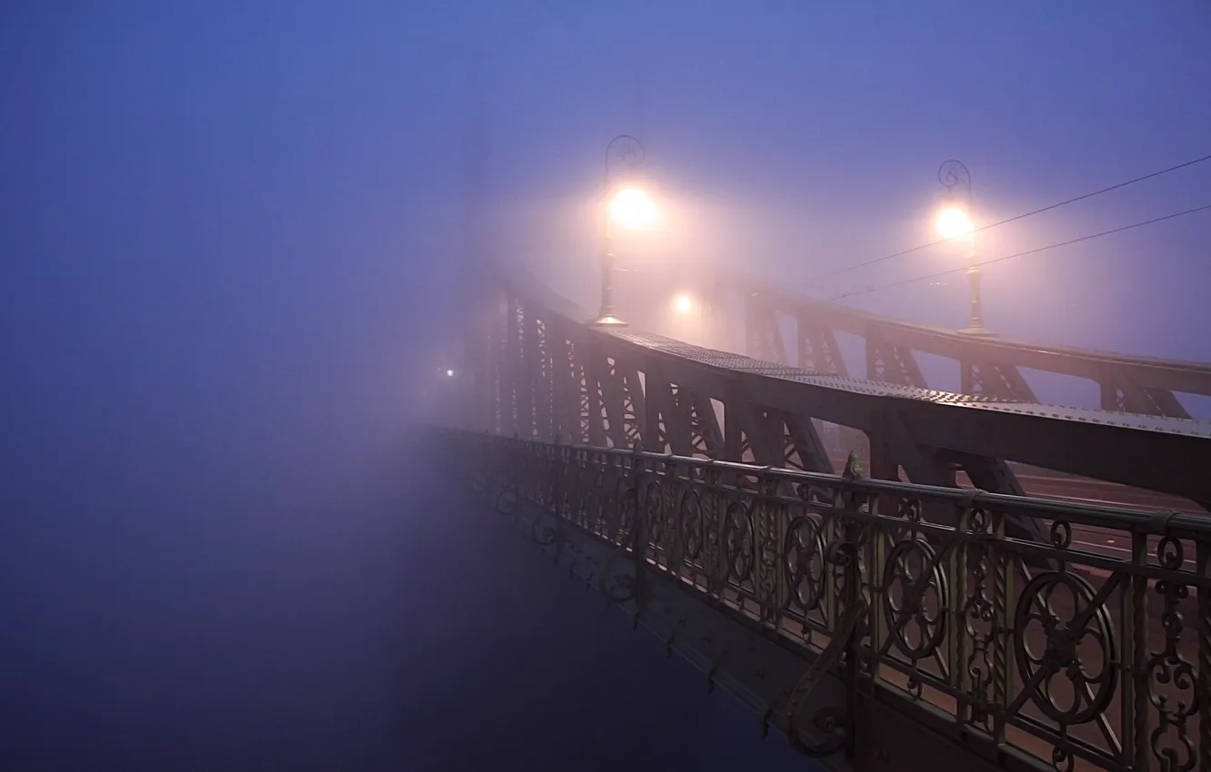 Фото обои грусть, мечта, мост, туман, раздумья