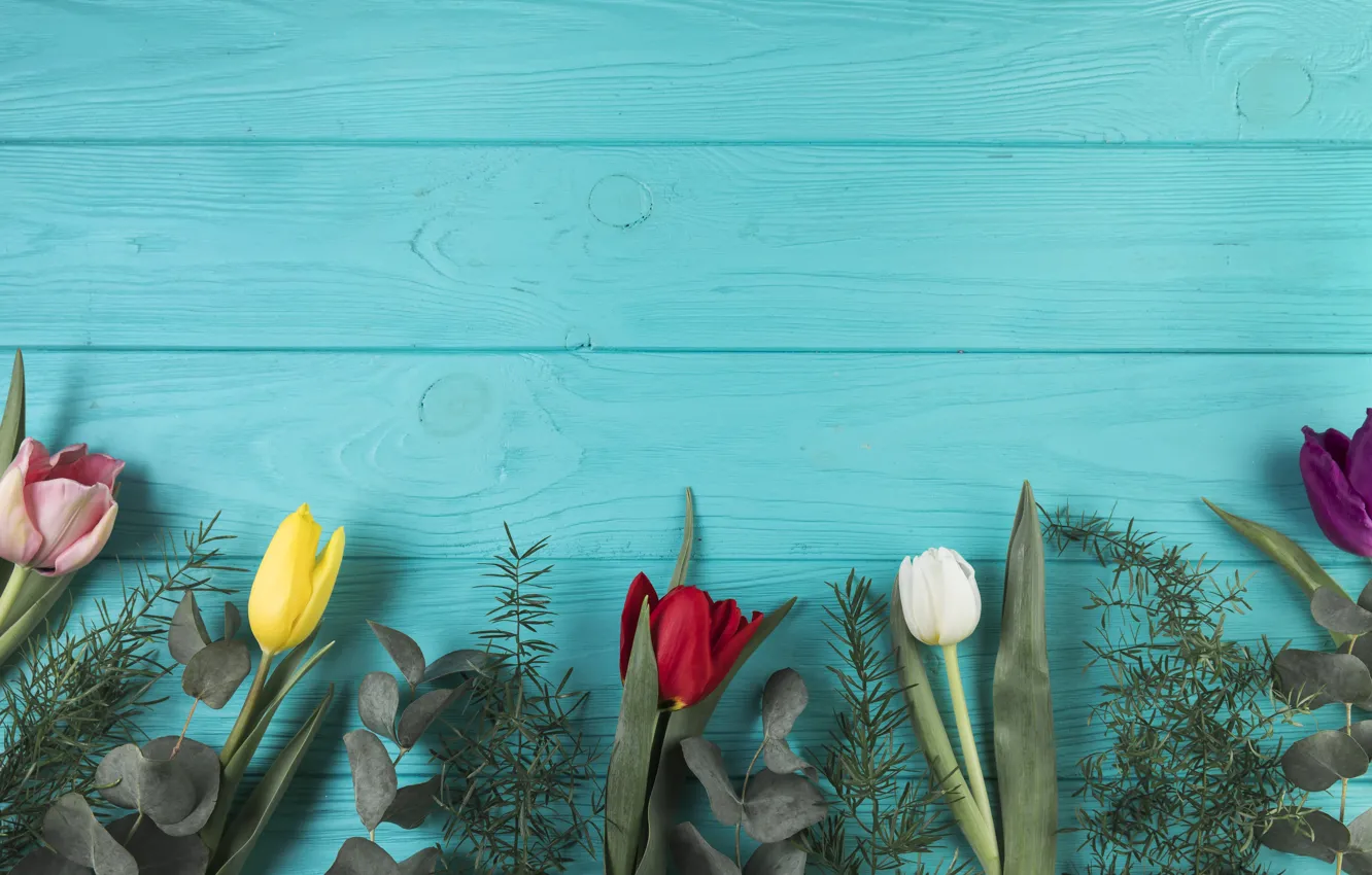 Фото обои цветы, colorful, тюльпаны, flowers, beautiful, tulips, spring, multicolored