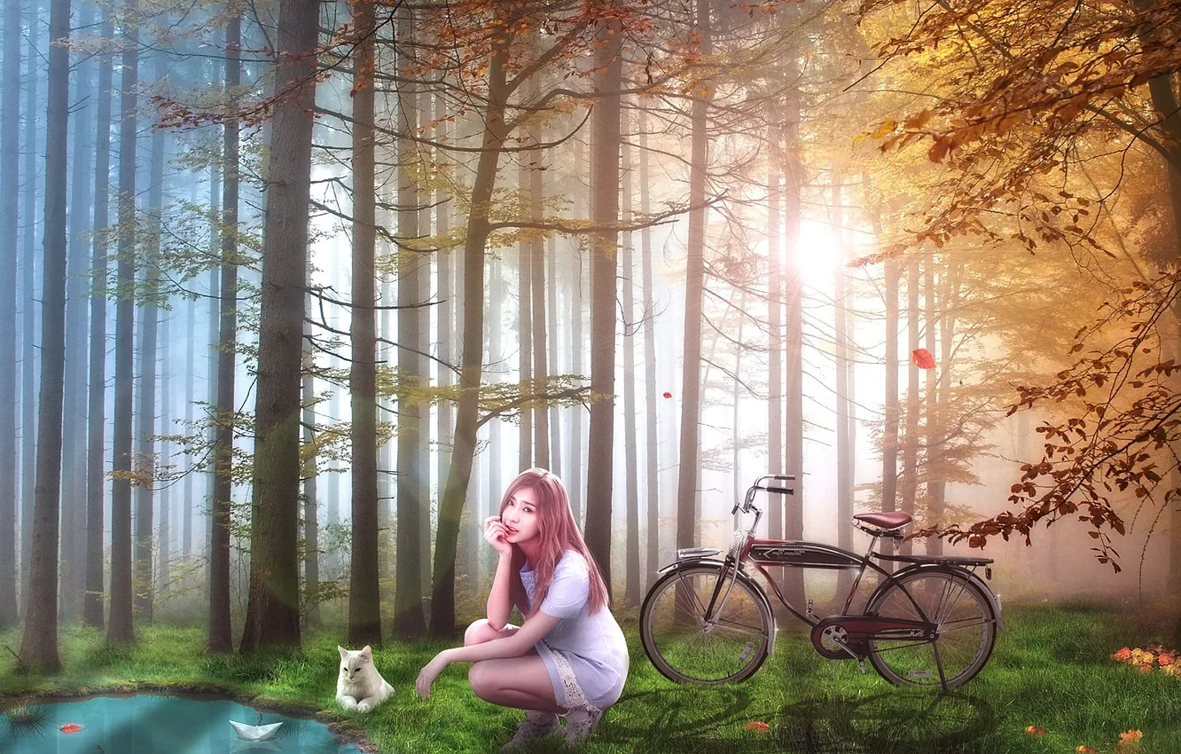 Фото обои лес, кот, девушка, деревья, велосипед, озеро, шатенка, азиатка