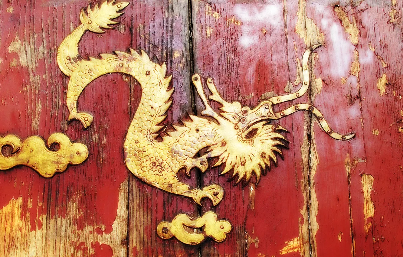 Фото обои металл, дракон, доски, двери, деревяшки, клёпки