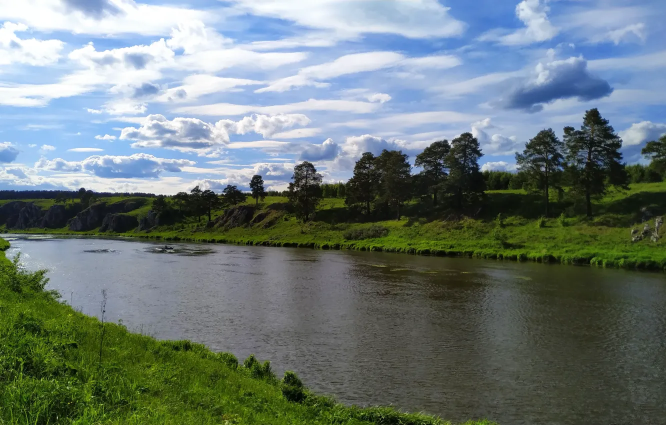 Фото обои лес, трава, облака, свет, деревья, река