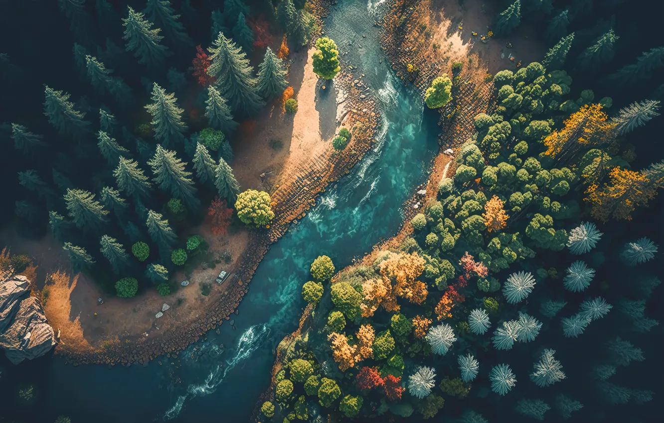 Фото обои осень, лес, пейзаж, река, colorful, dark, forest, river