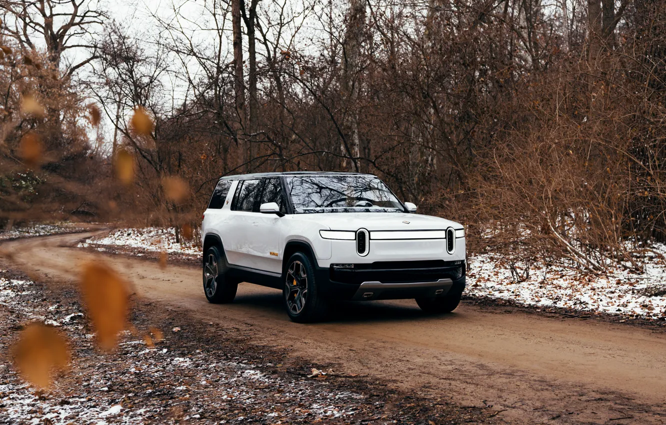 Фото обои дорога, лес, белый, SUV, 2019, Rivian, R1S