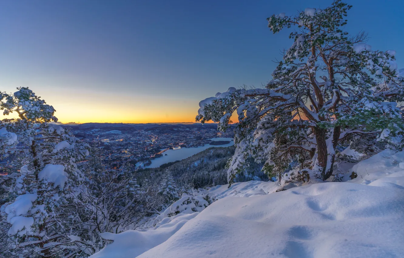 Фото обои зима, снег, деревья, озеро, рассвет, утро, сугробы, сосна