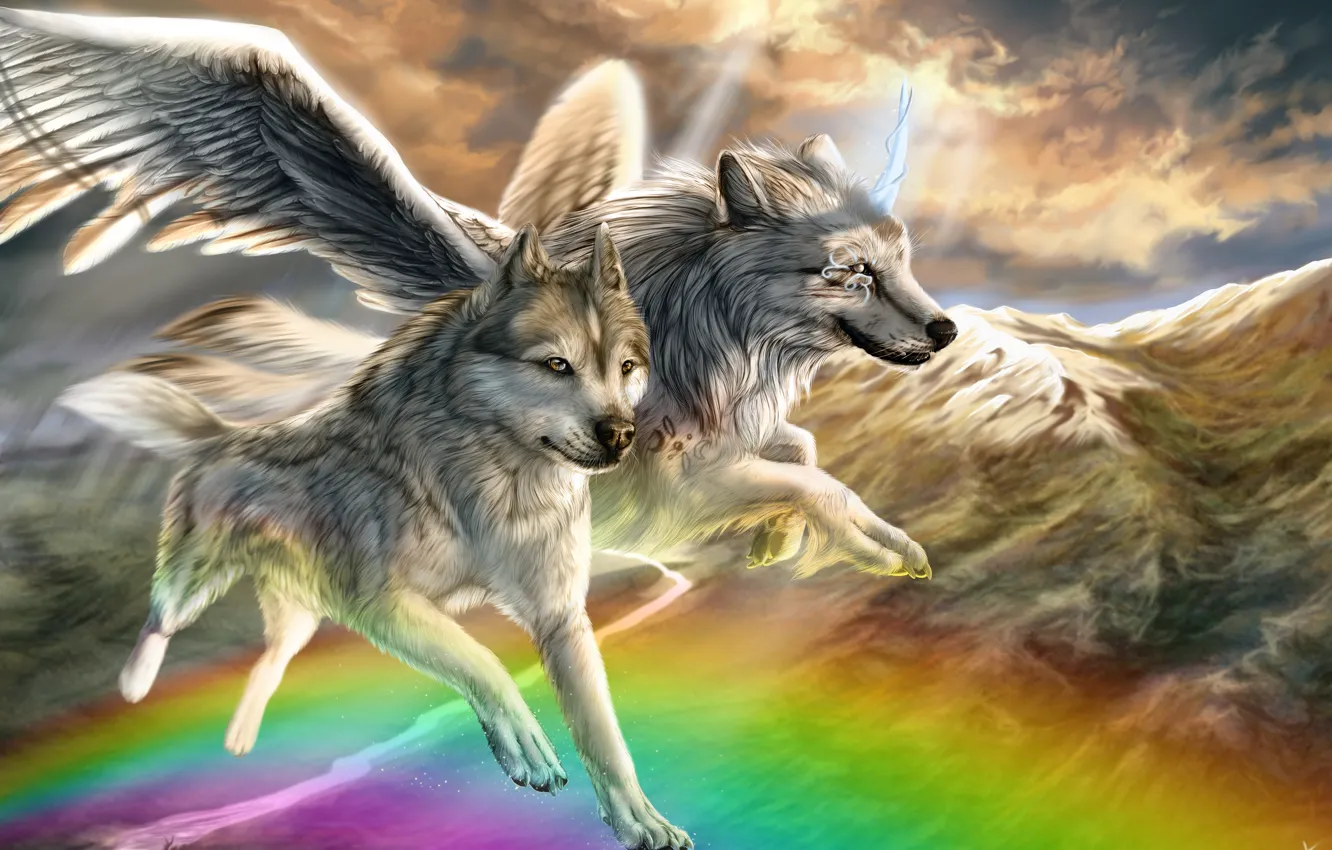 Фото обои животные, горы, фантастика, крылья, радуга, арт, пара, волки