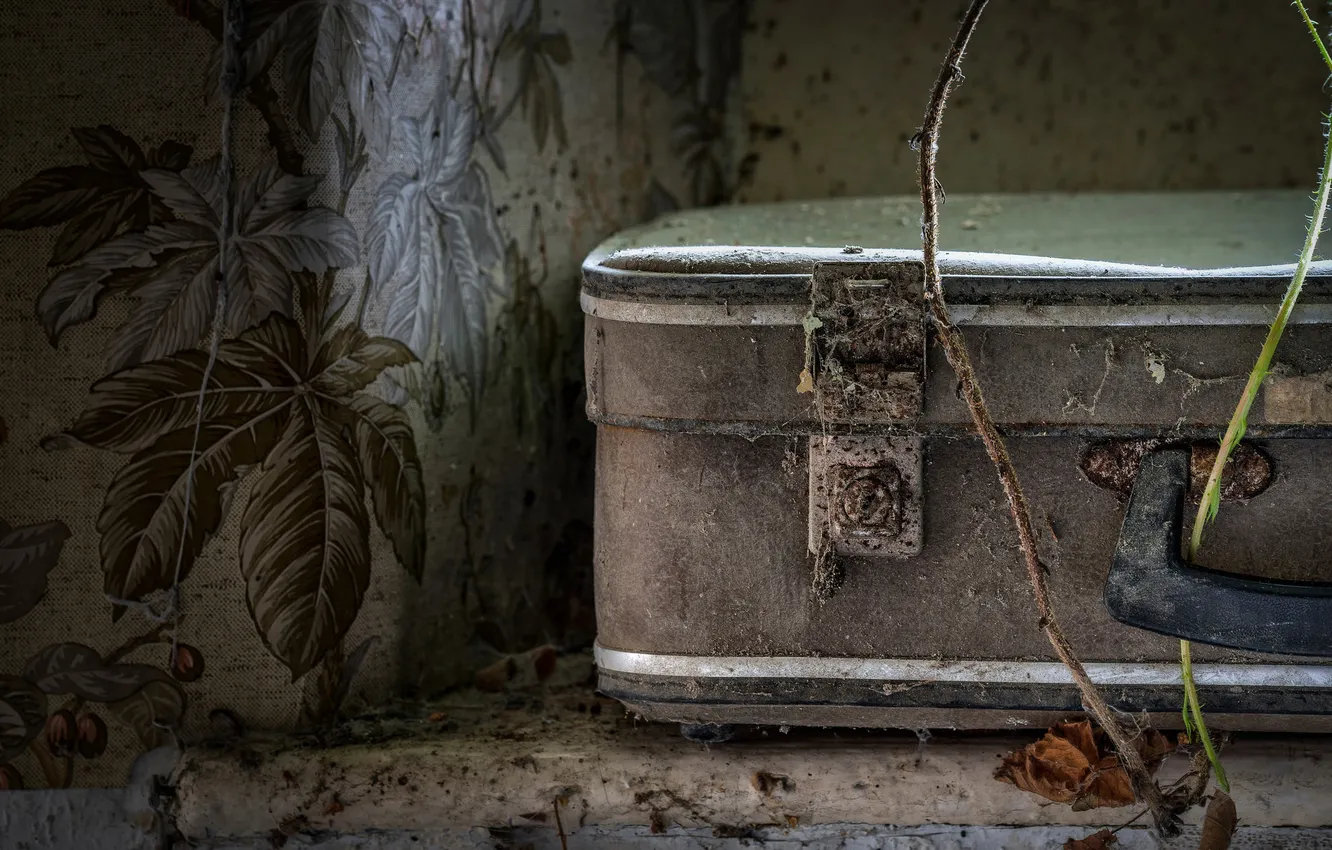 Фото обои обои, пыль, чемодан