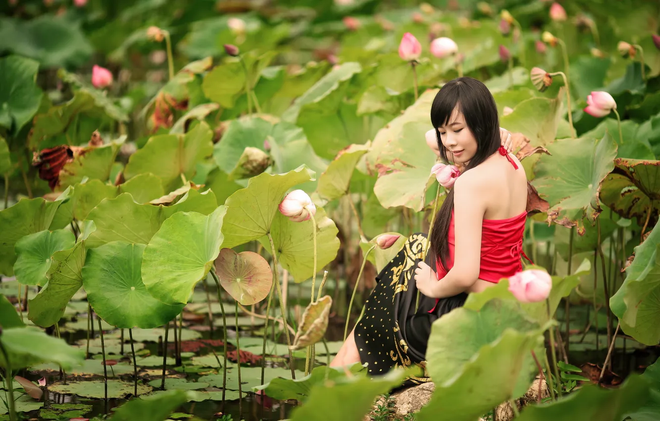 Фото обои девушка, природа, лилии, азиатка