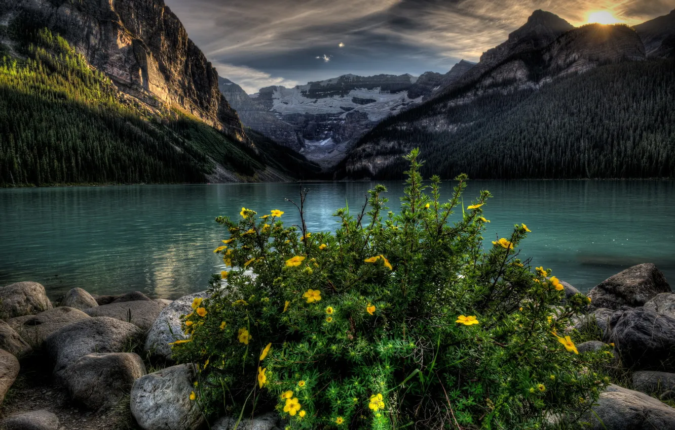 Фото обои пейзаж, цветы, горы, озеро