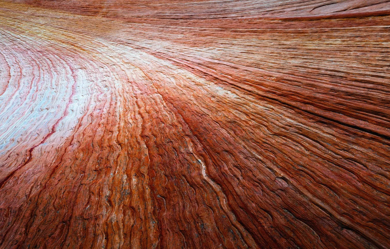 Фото обои Zion National Park, minimalism, texture