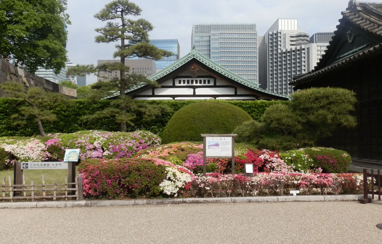 Фото обои Япония, храм, Tokyo, Japan, сад камней