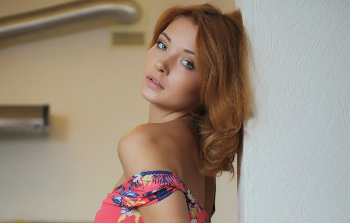 Фото обои взгляд, девушка, красота, шатенка, Kika