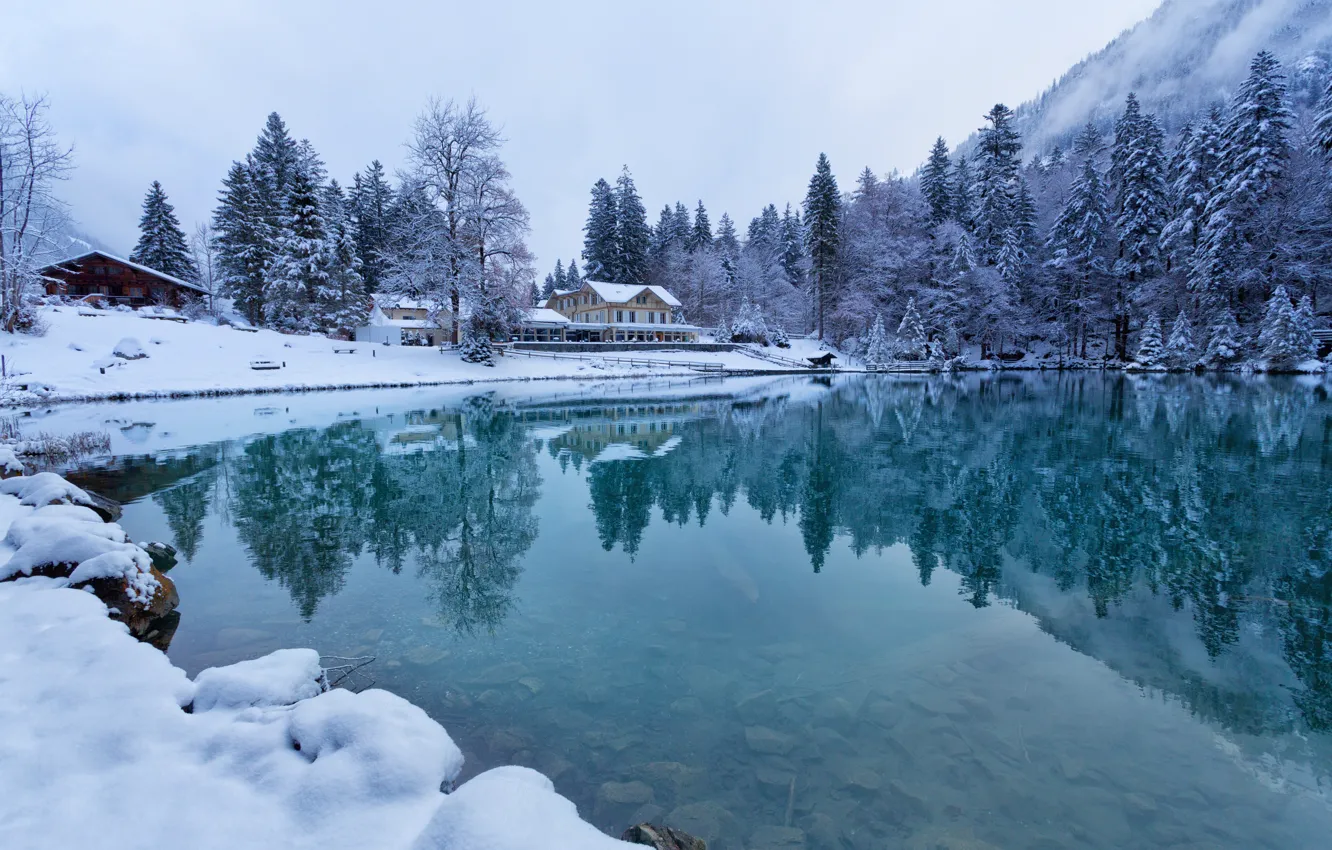 Фото обои зима, лес, вода, снег, отражения, деревья, озеро, дома