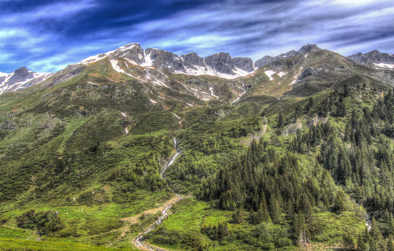 Фото обои лес, деревья, пейзаж, горы, HDR