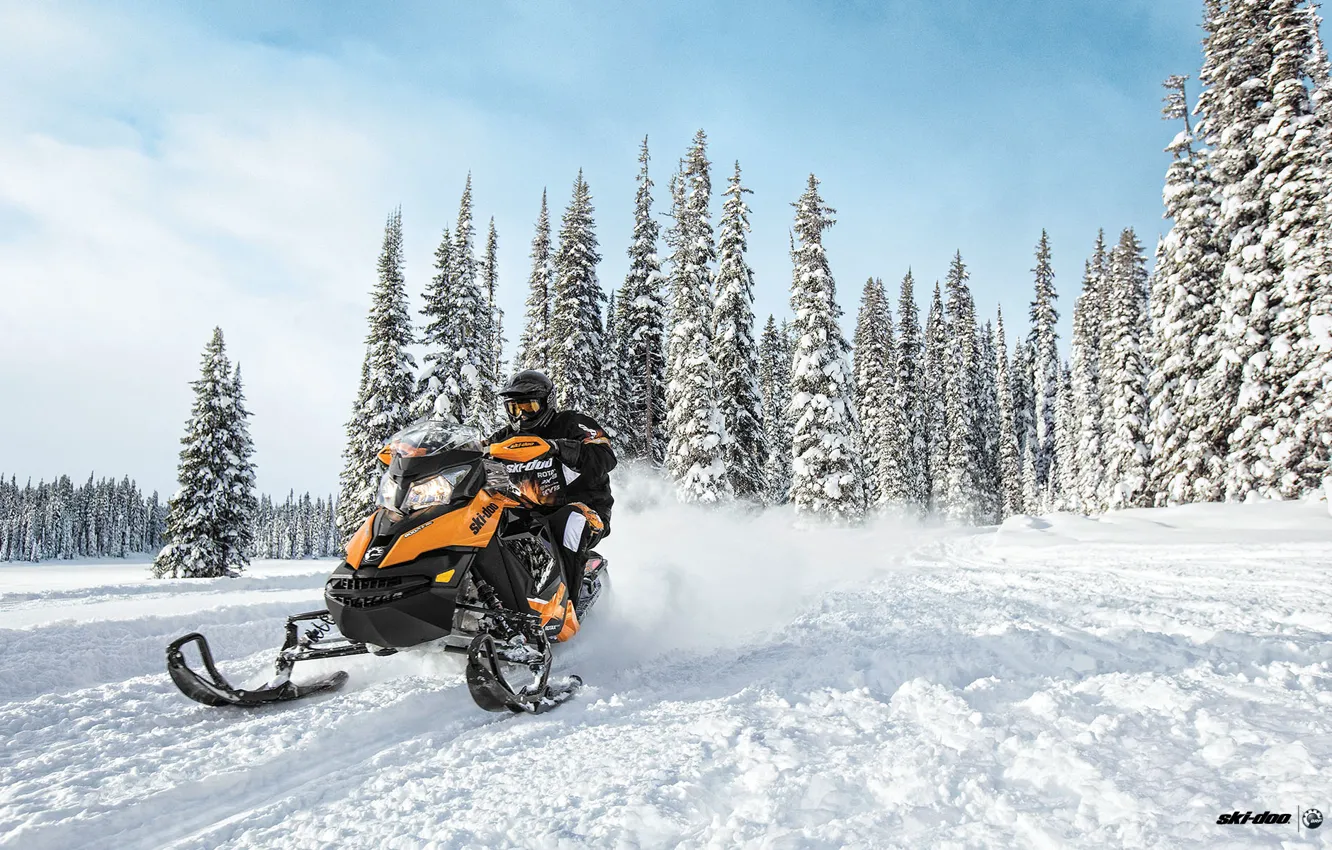 Фото обои Лес, Снегоход, Snowmobile, Ski-Doo