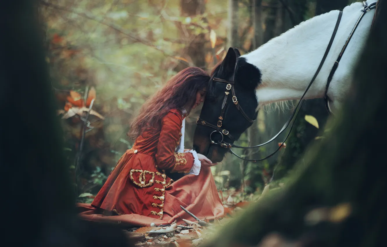 Фото обои грусть, лес, девушка, лошадь