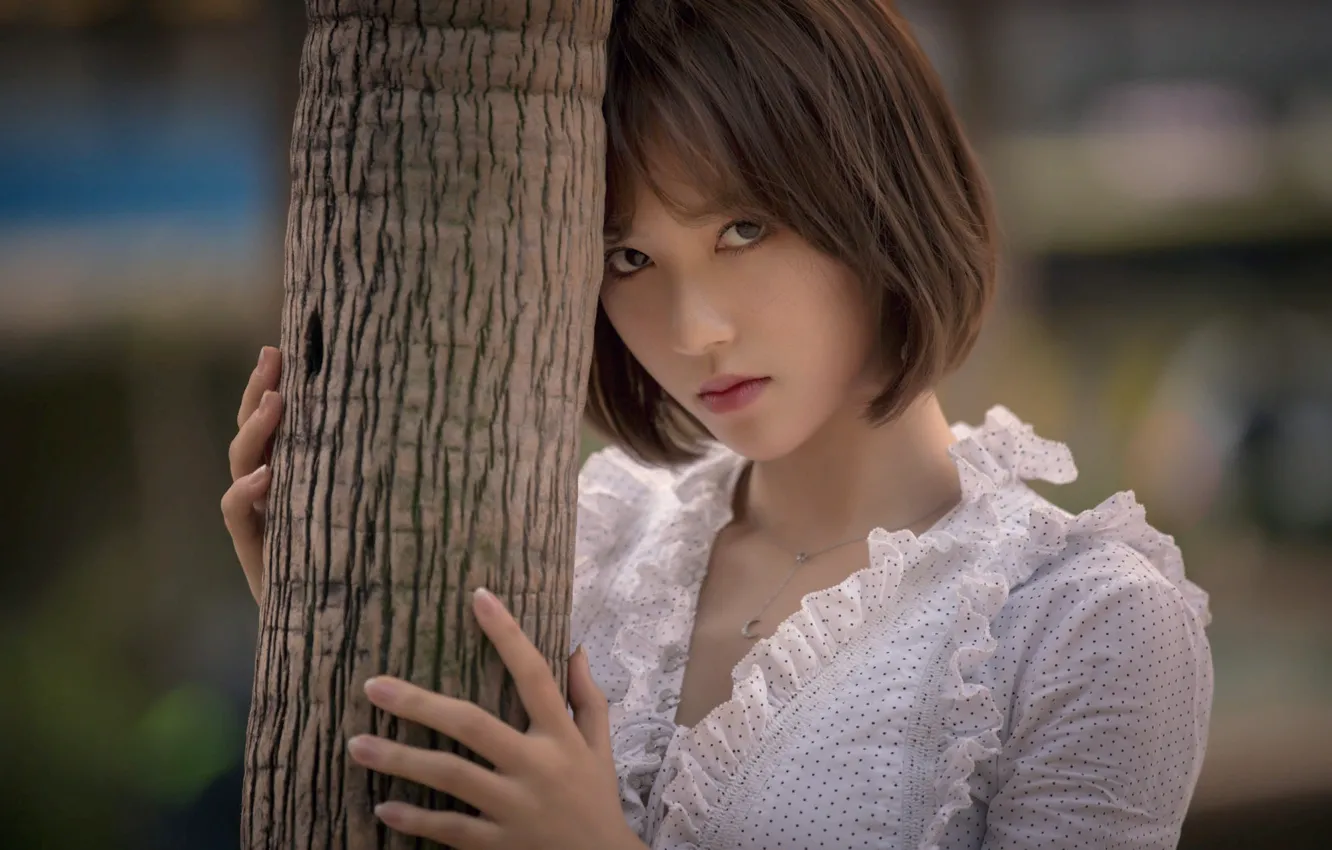 Фото обои взгляд, девушка, дерево, ствол, блузка, шатенка