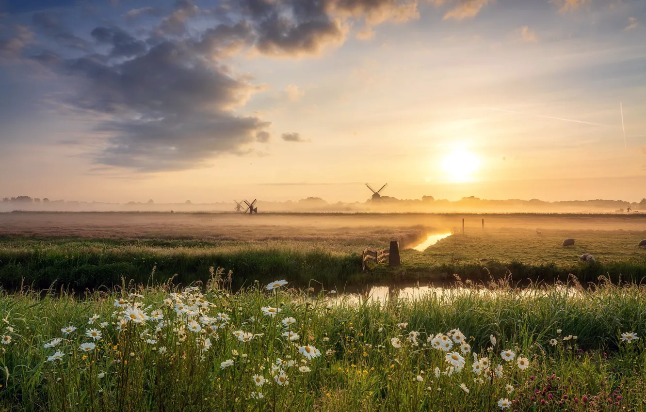 Фото обои Holland, mist, Windmill, Dutch territories