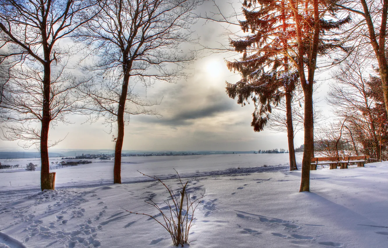 Фото обои зима, поле, небо, облака, снег, деревья, тучи