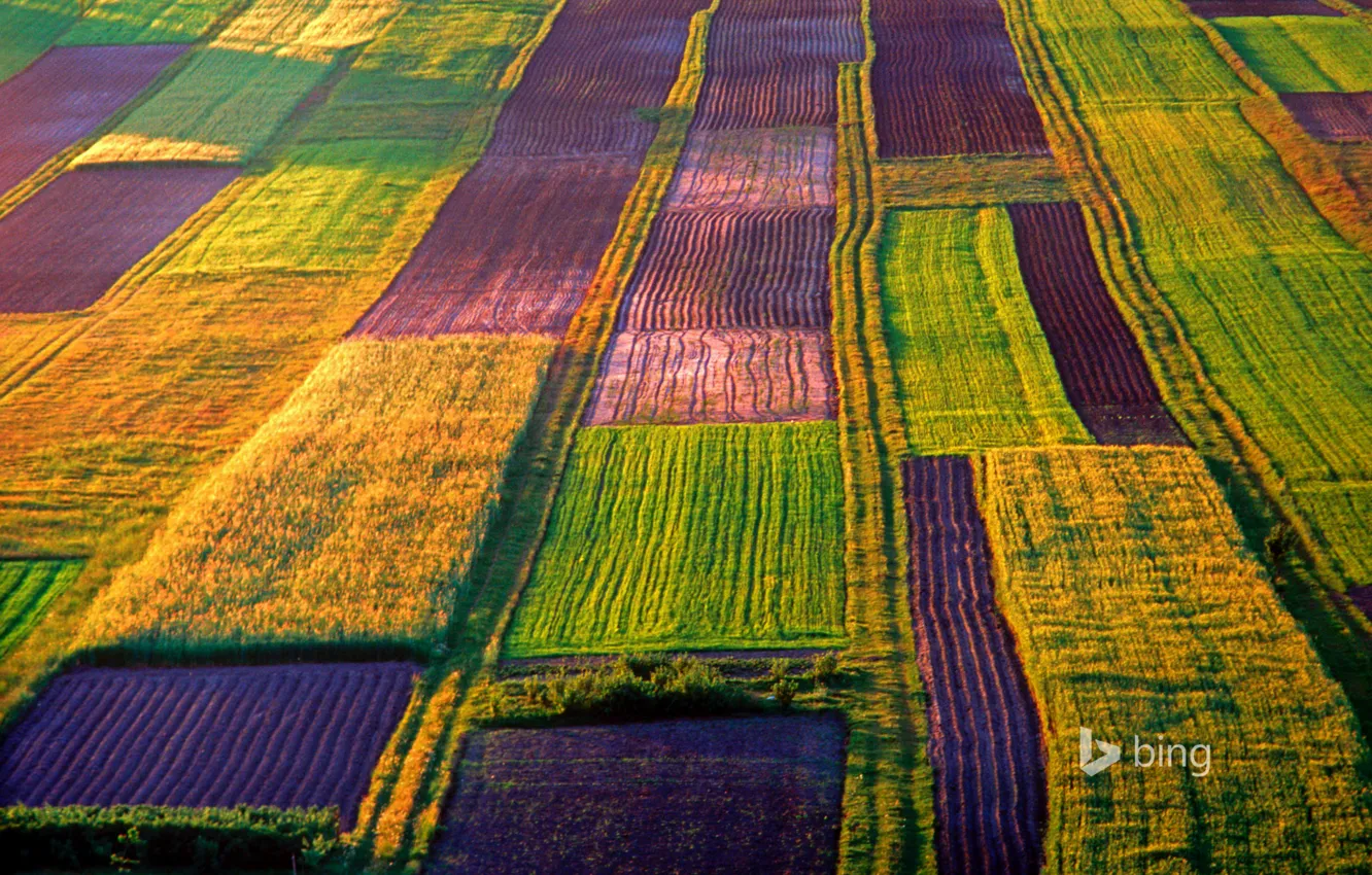 Фото обои поле, природа, краски, Польша, ферма, Roztocze