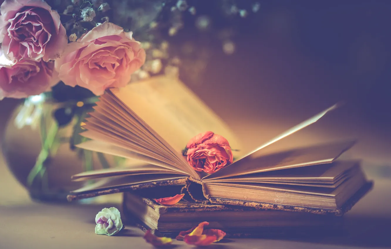 Фото обои цветы, стиль, книги, розы, букет, лепестки, бутон