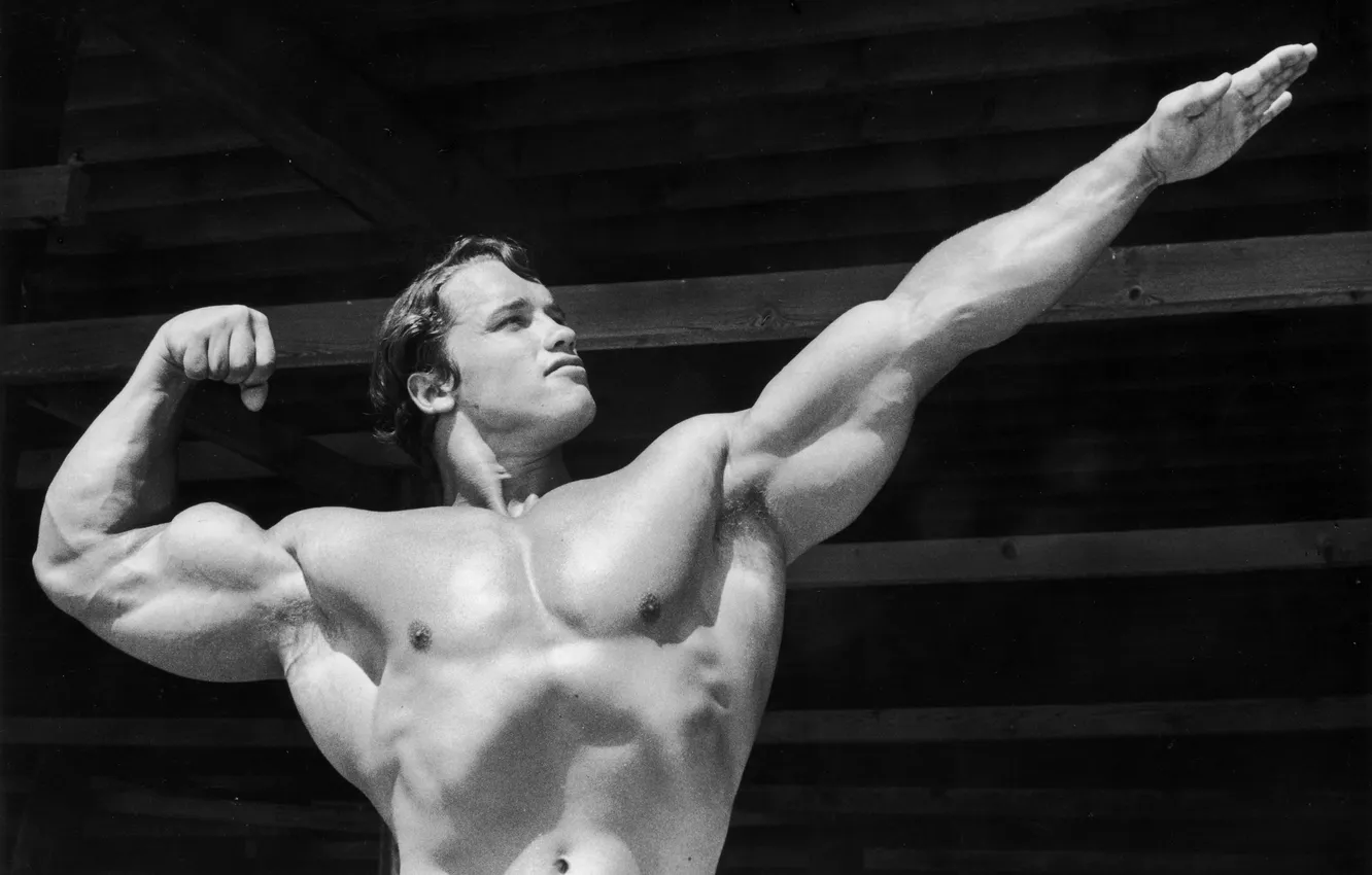 Фото обои чёрно-белое, Арнольд Шварценеггер, Arnold Schwarzenegger, эстетика