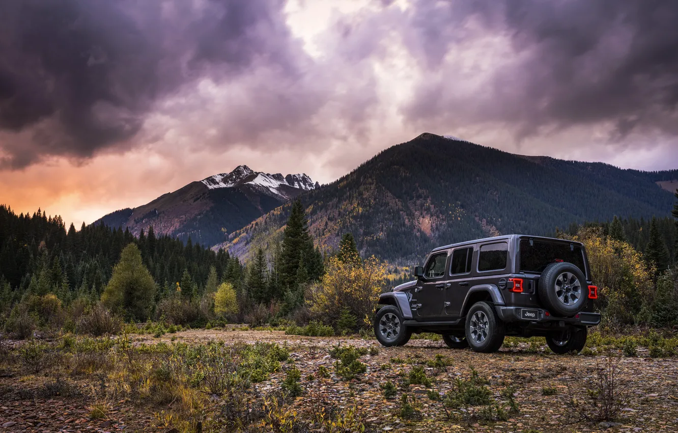 Фото обои лес, небо, растительность, вершины, 2018, Jeep, тёмно-серый, Wrangler Sahara