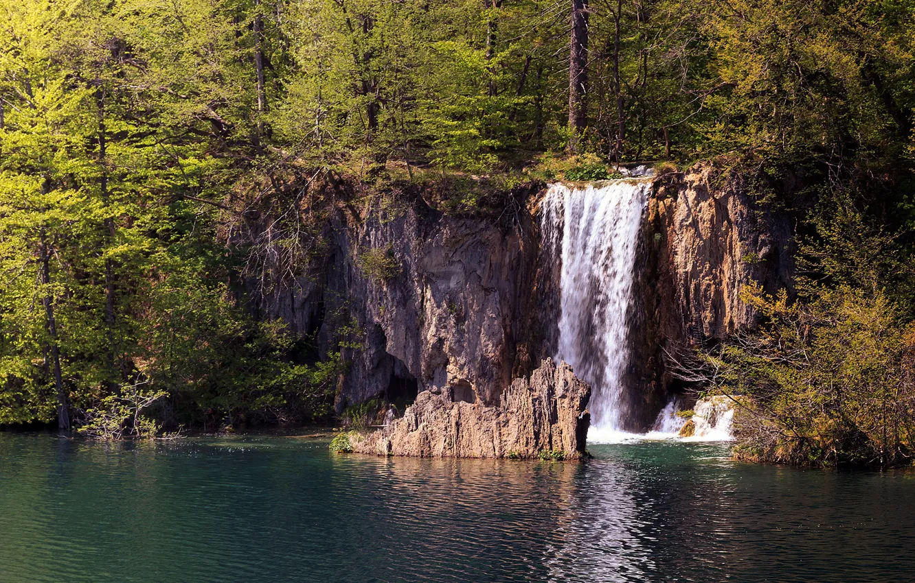 Фото обои лес, солнце, деревья, озеро, водопад, Хорватия, Plitvice national park