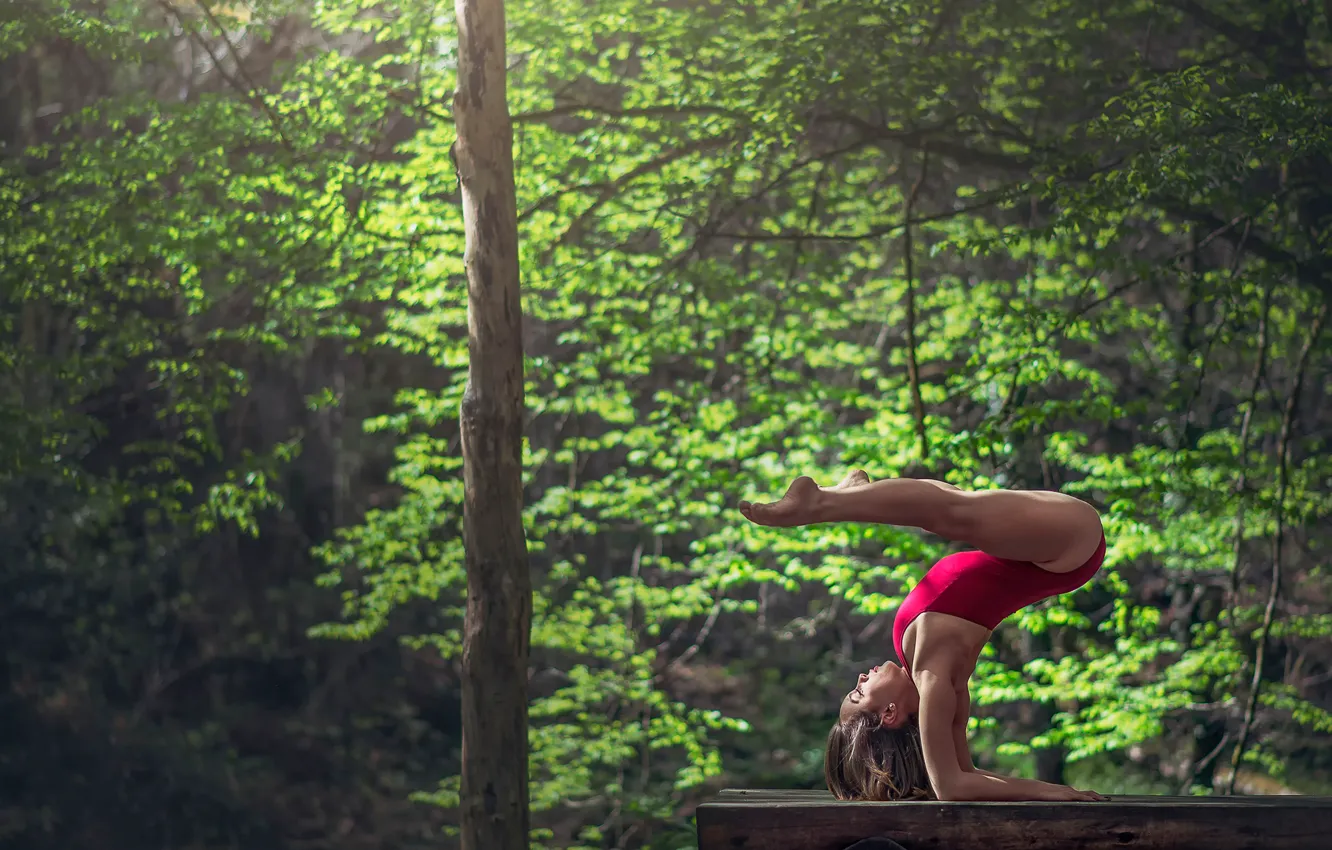 Фото обои грация, бревно, гимнастка, упражнение, Marie-Lou Lagrange