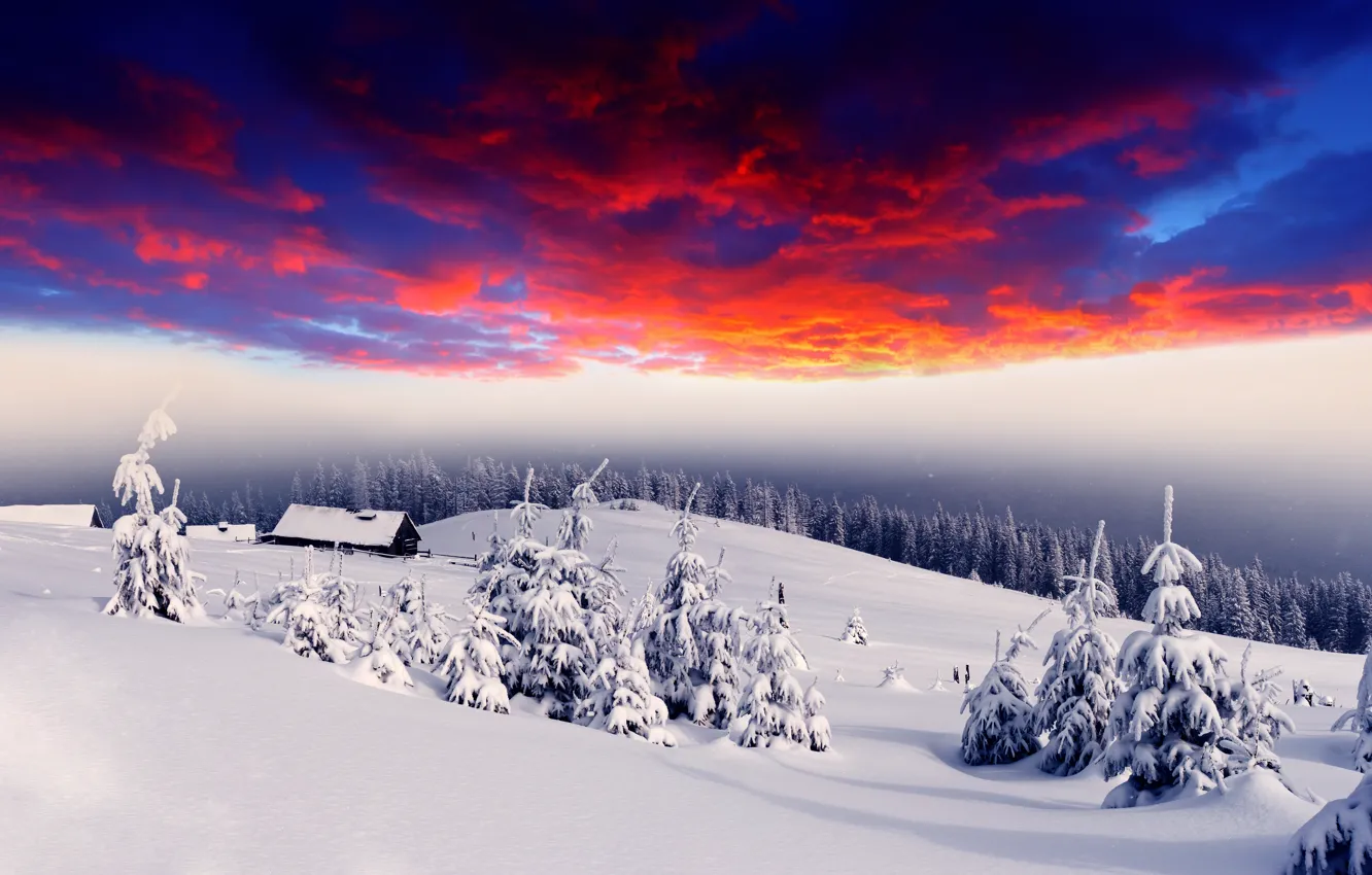 Фото обои зима, лес, снег, рассвет, зарево, домики, деревушка, ёлки