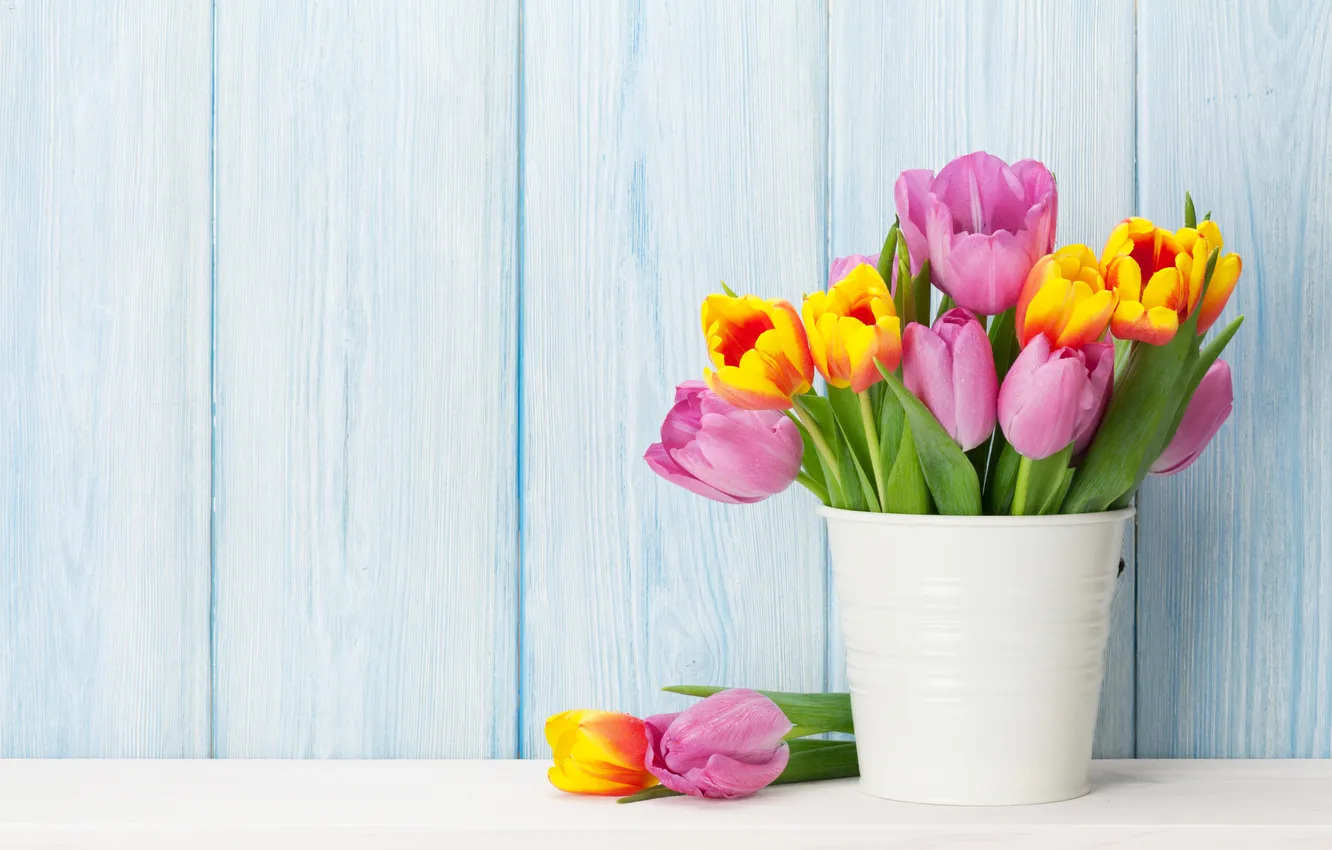 Фото обои цветы, букет, colorful, тюльпаны, pink, flowers, tulips, spring