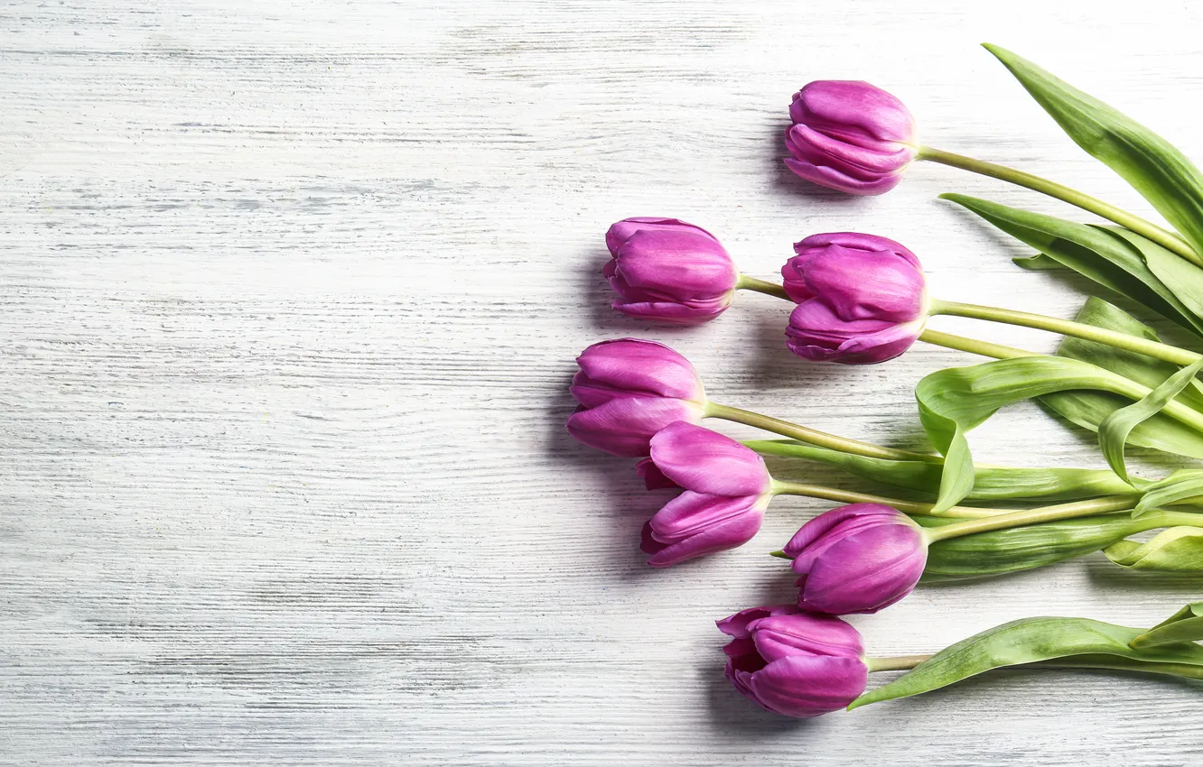 Фото обои цветы, букет, тюльпаны, wood, flowers, tulips, spring, purple