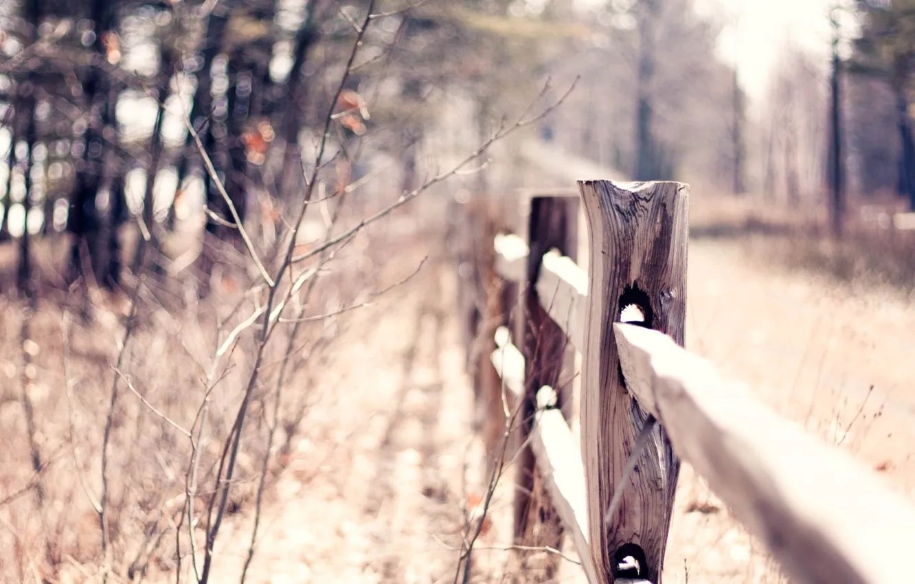 Фото обои осень, ограждение, macro, fence, blur, bokeh, warm