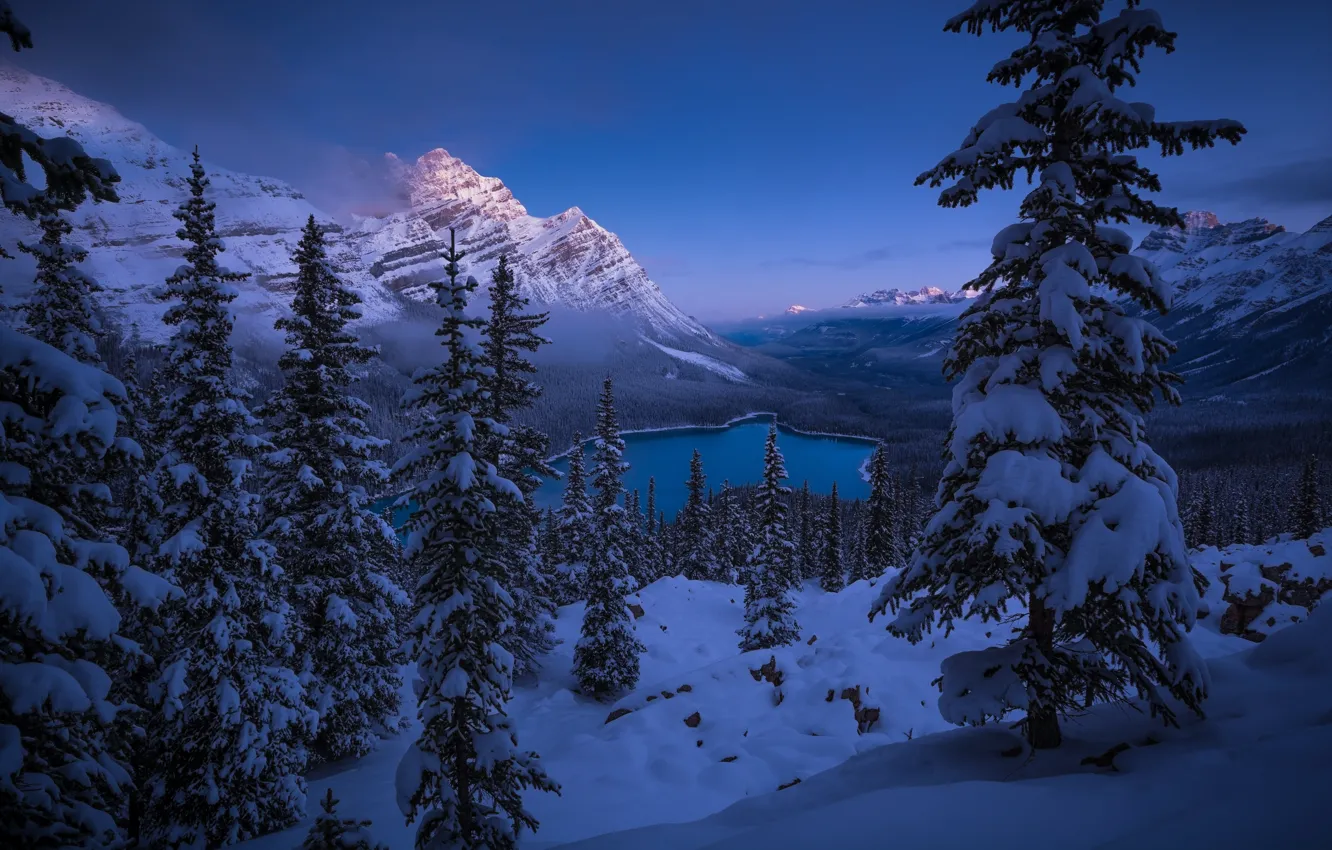 Фото обои зима, снег, горы, озеро, ели, Канада, панорама, Альберта