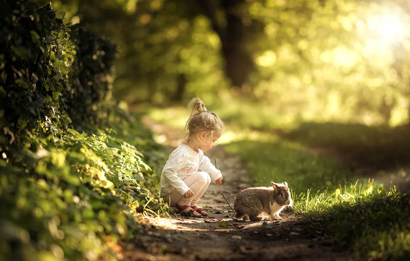 Фото обои лето, трава, природа, животное, кролик, девочка, тропинка, малышка