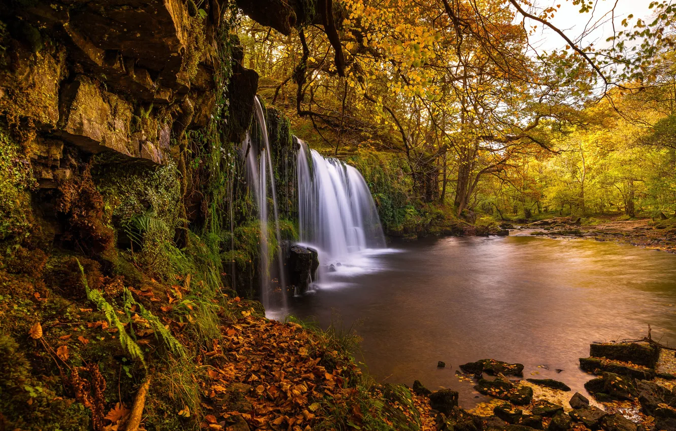 Фото обои осень, деревья, река, Англия, водопад, England, Уэльс, Wales