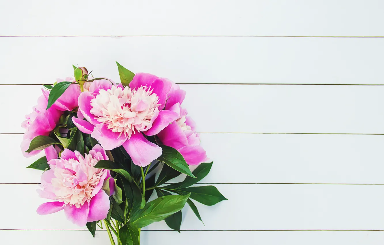 Фото обои цветы, букет, розовые, wood, pink, flowers, beautiful, пионы