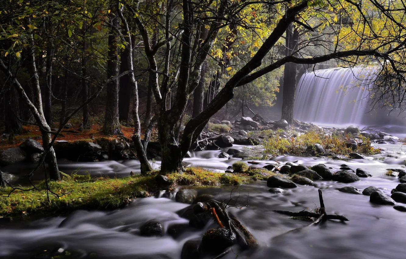 Фото обои лес, деревья, камни, водопад, природа. река