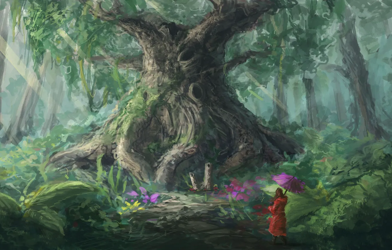 Фото обои зелень, лес, девушка, цветы, растения, Дерево, зонт