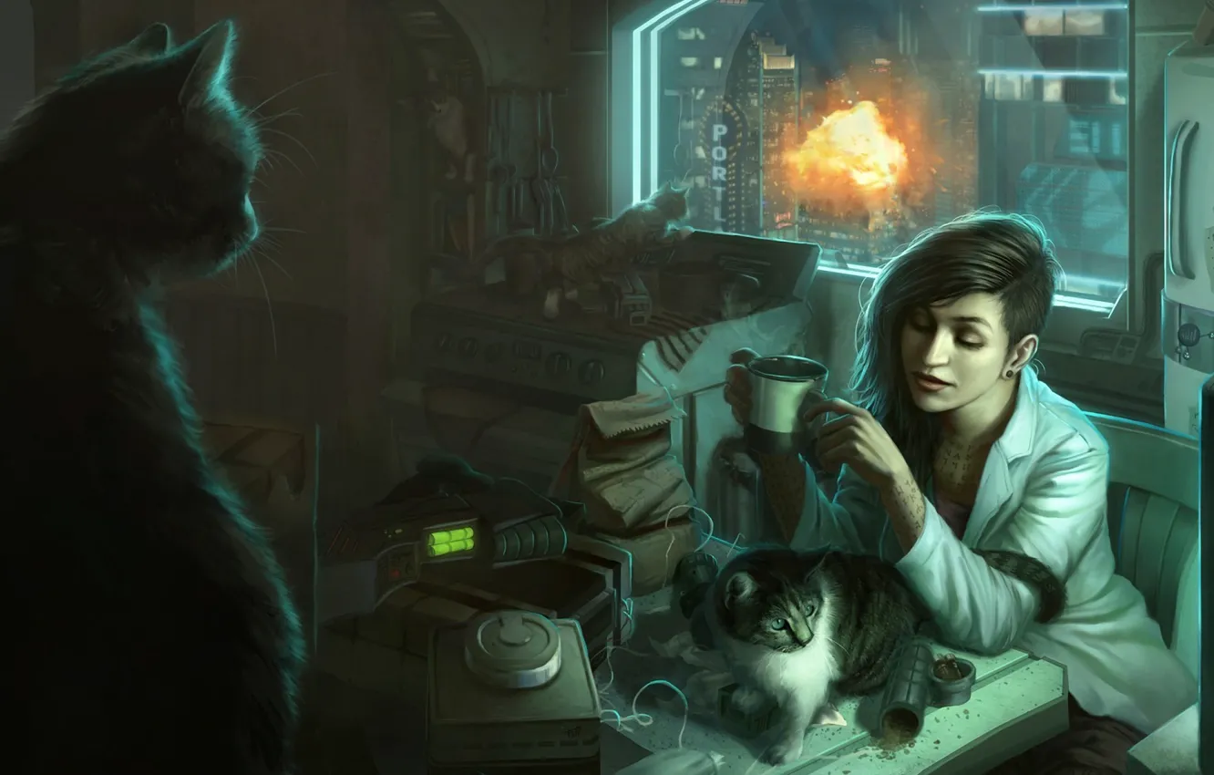 Фото обои кошки, взрыв, Девушка, окно, квартира, беспорядок