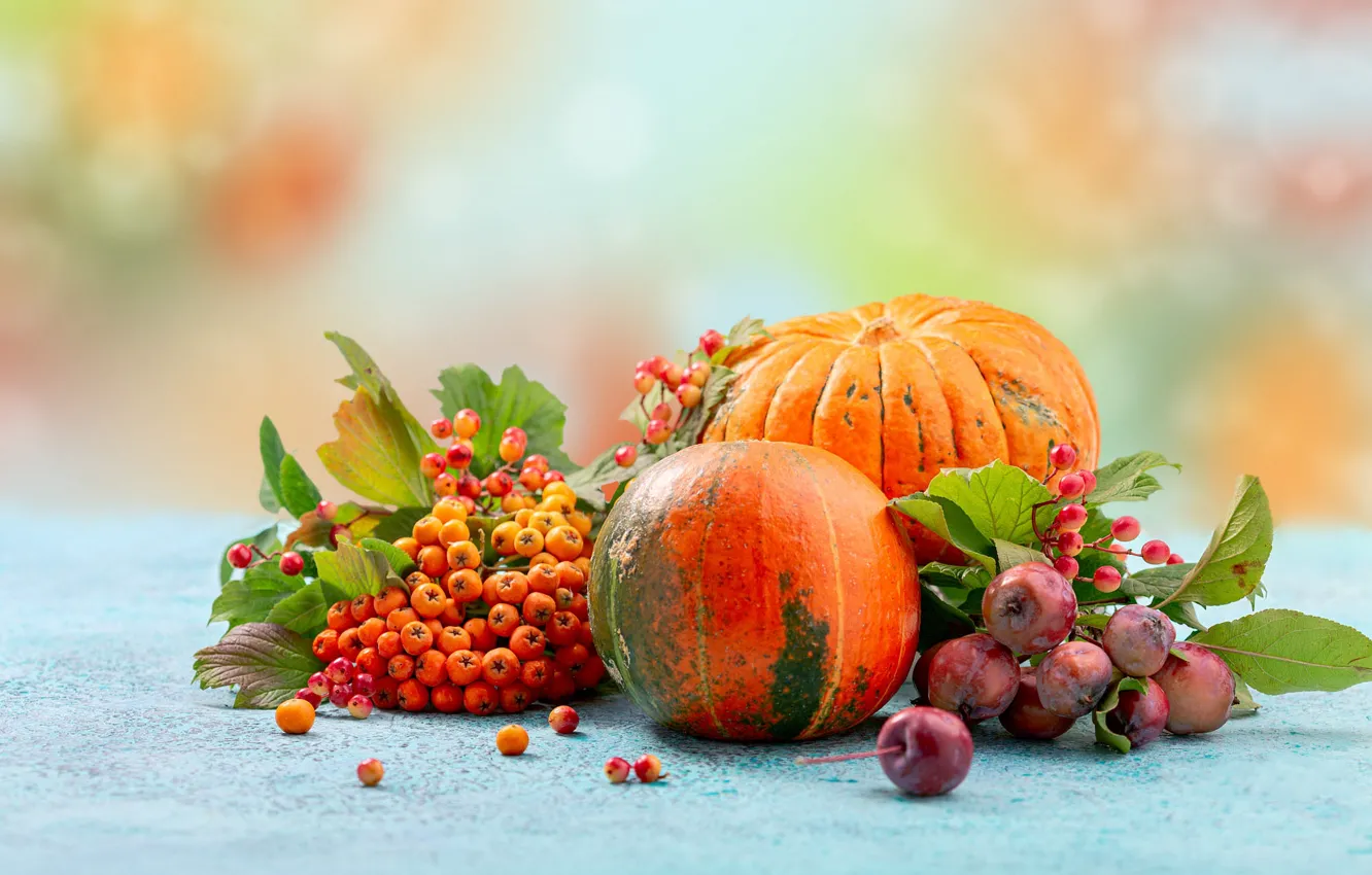 Фото обои осень, ягоды, стол, настроение, урожай, плоды, тыквы, тыква