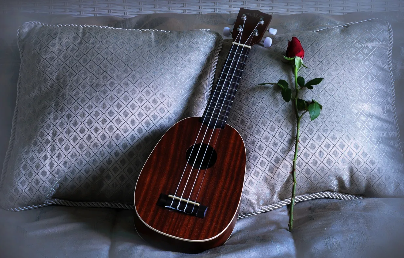 Фото обои rose, ukulele, pillows, Love Song
