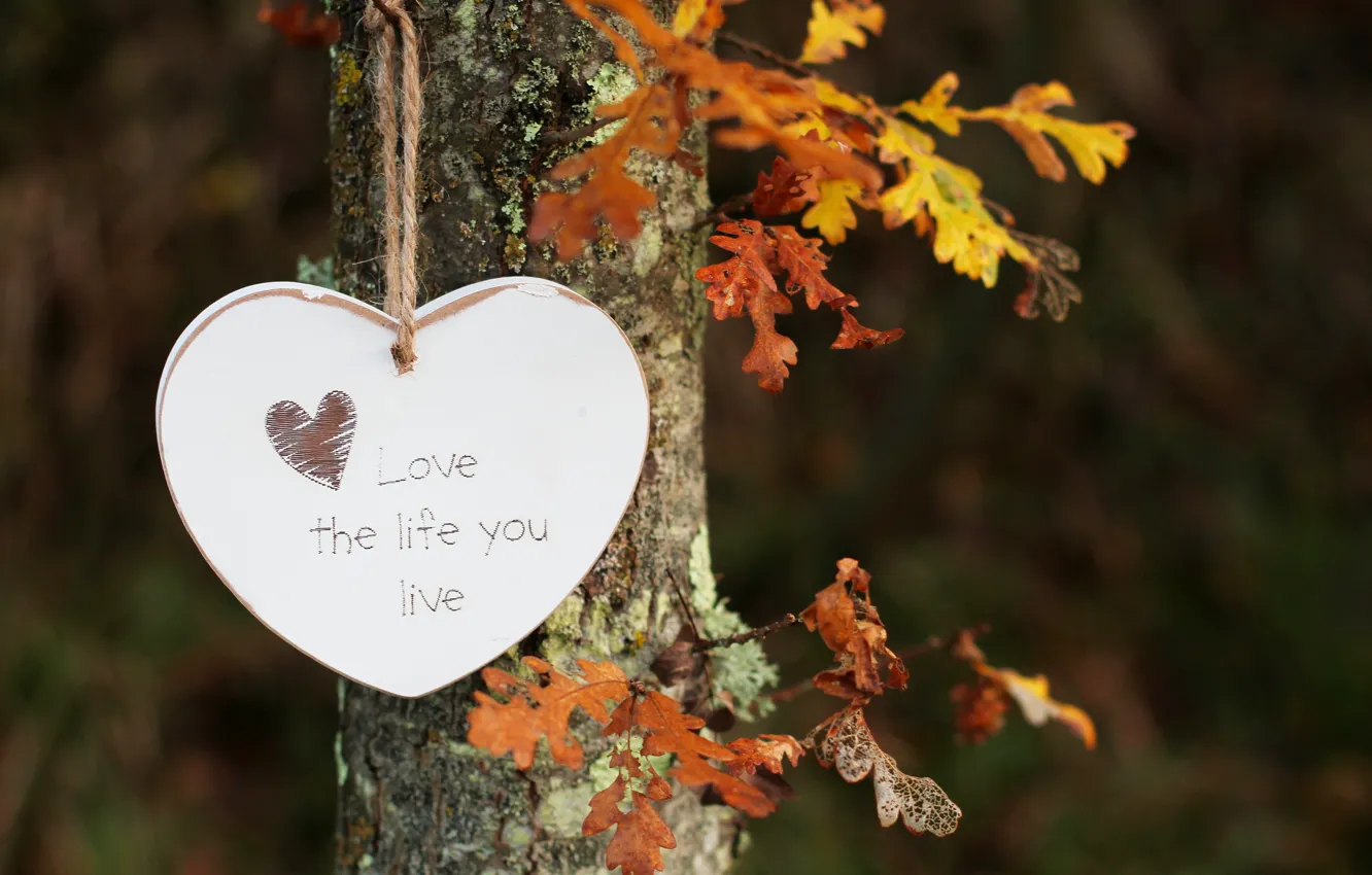 Фото обои листья, дерево, надпись, сердце, висит